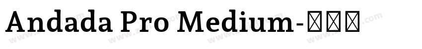 Andada Pro Medium字体转换